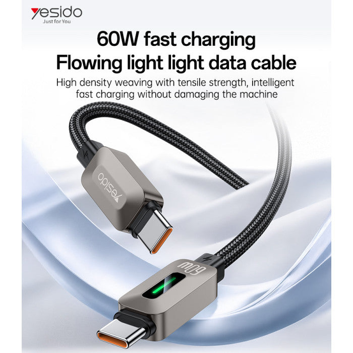 CA198 Type-C To Type-C 60W Fast Charging Data Cable